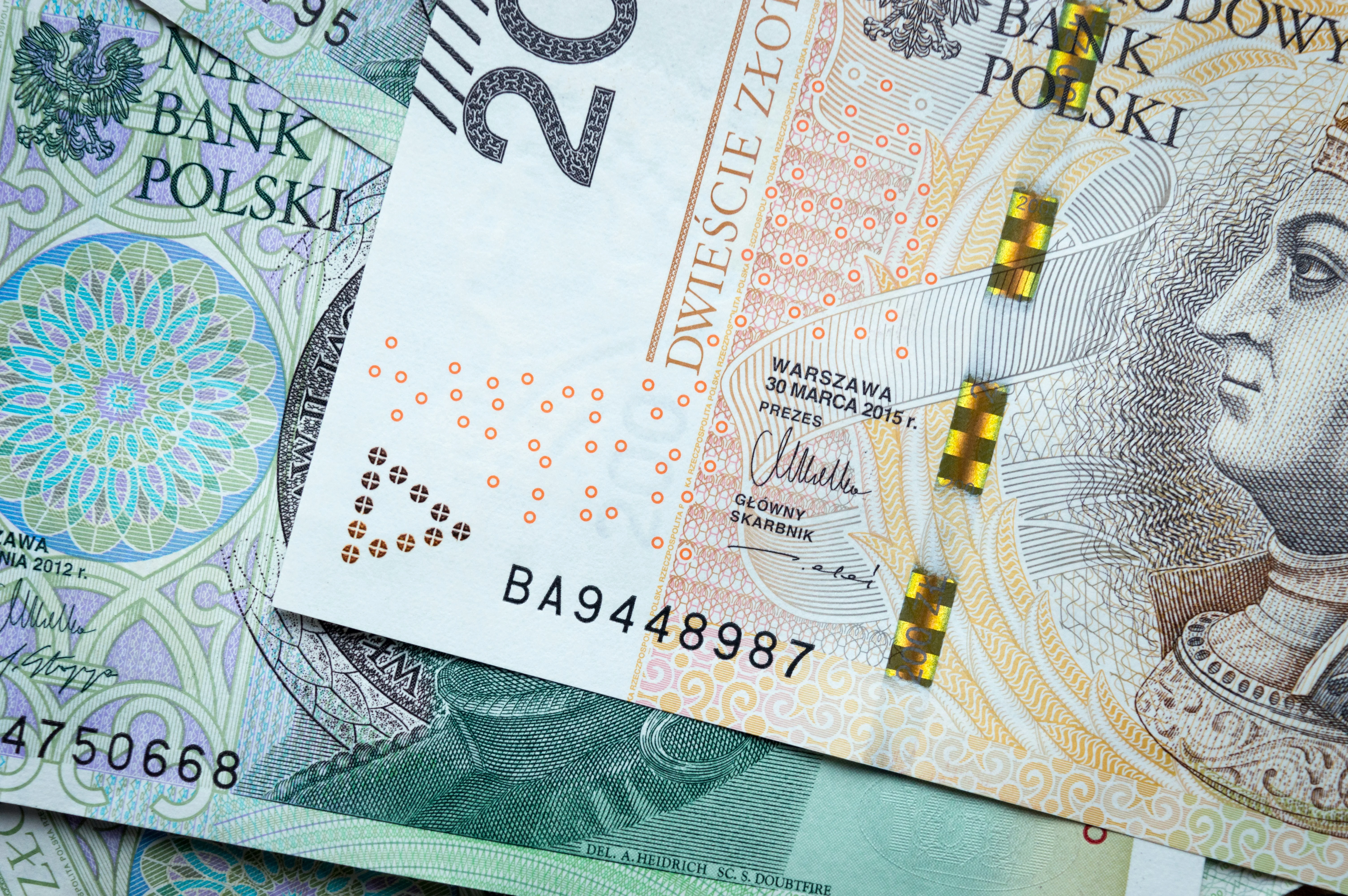 polish currency